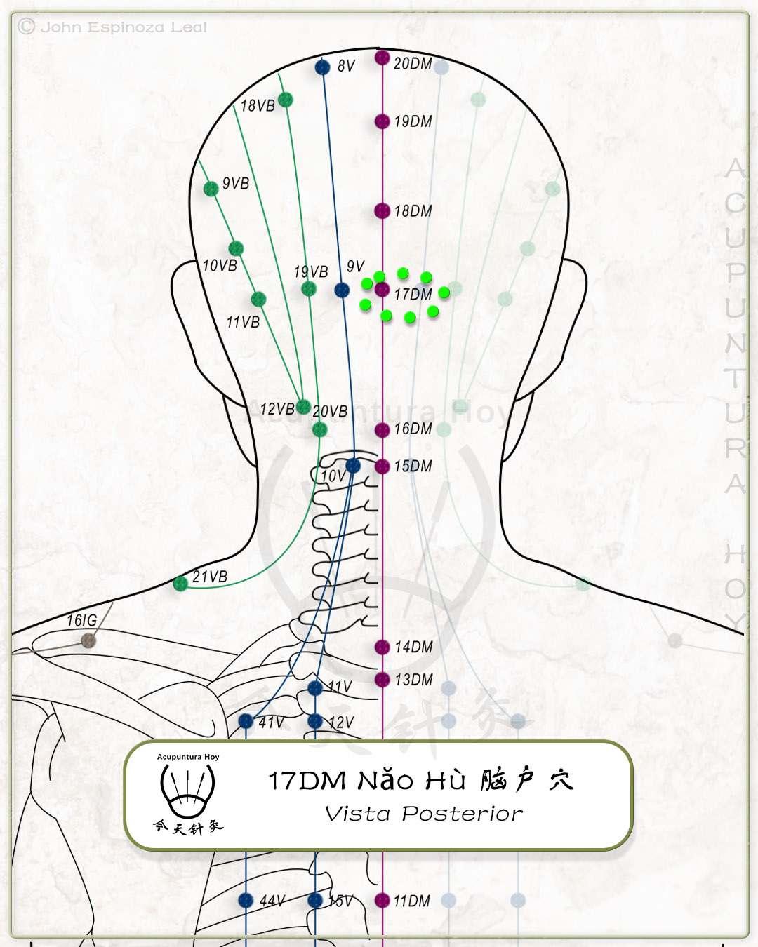 17DM Năo Hù 脑户穴