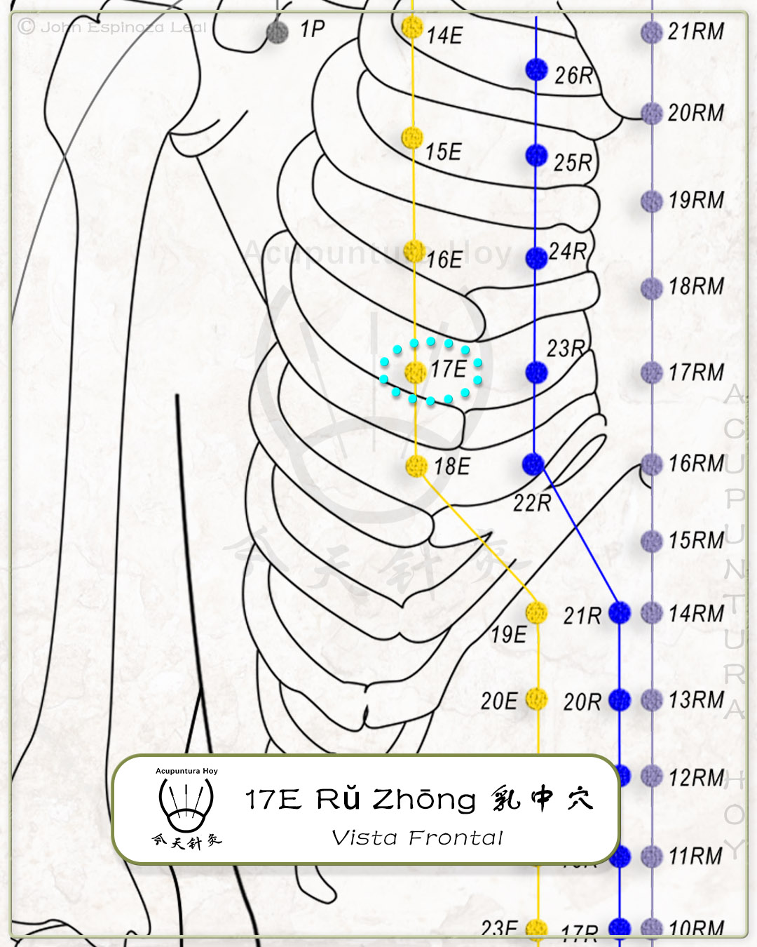 17E Rŭ Zhōng 乳中穴