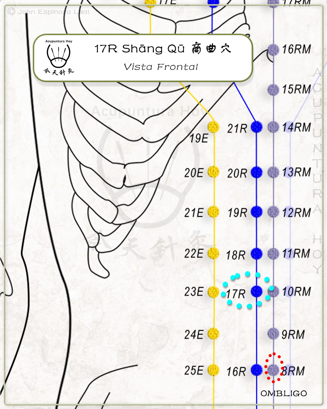 17R Shāng Qū 商曲穴