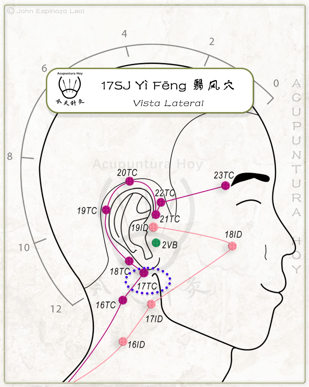 17SJ Yì Fēng 翳风穴