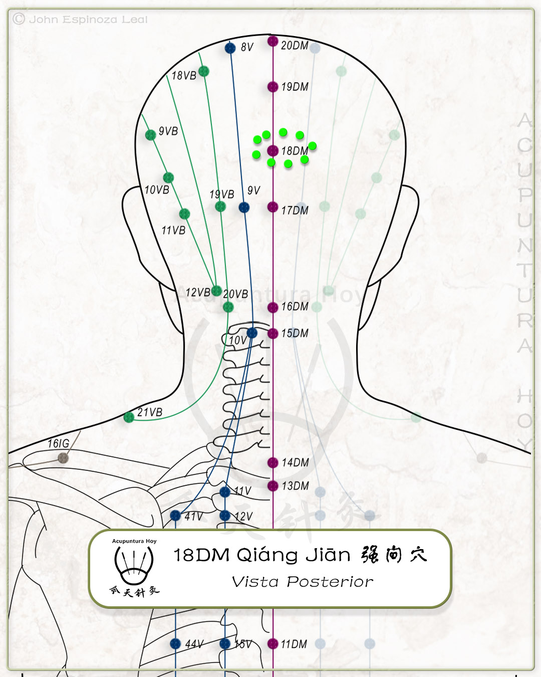 18DM Qiáng Jiān 强间穴