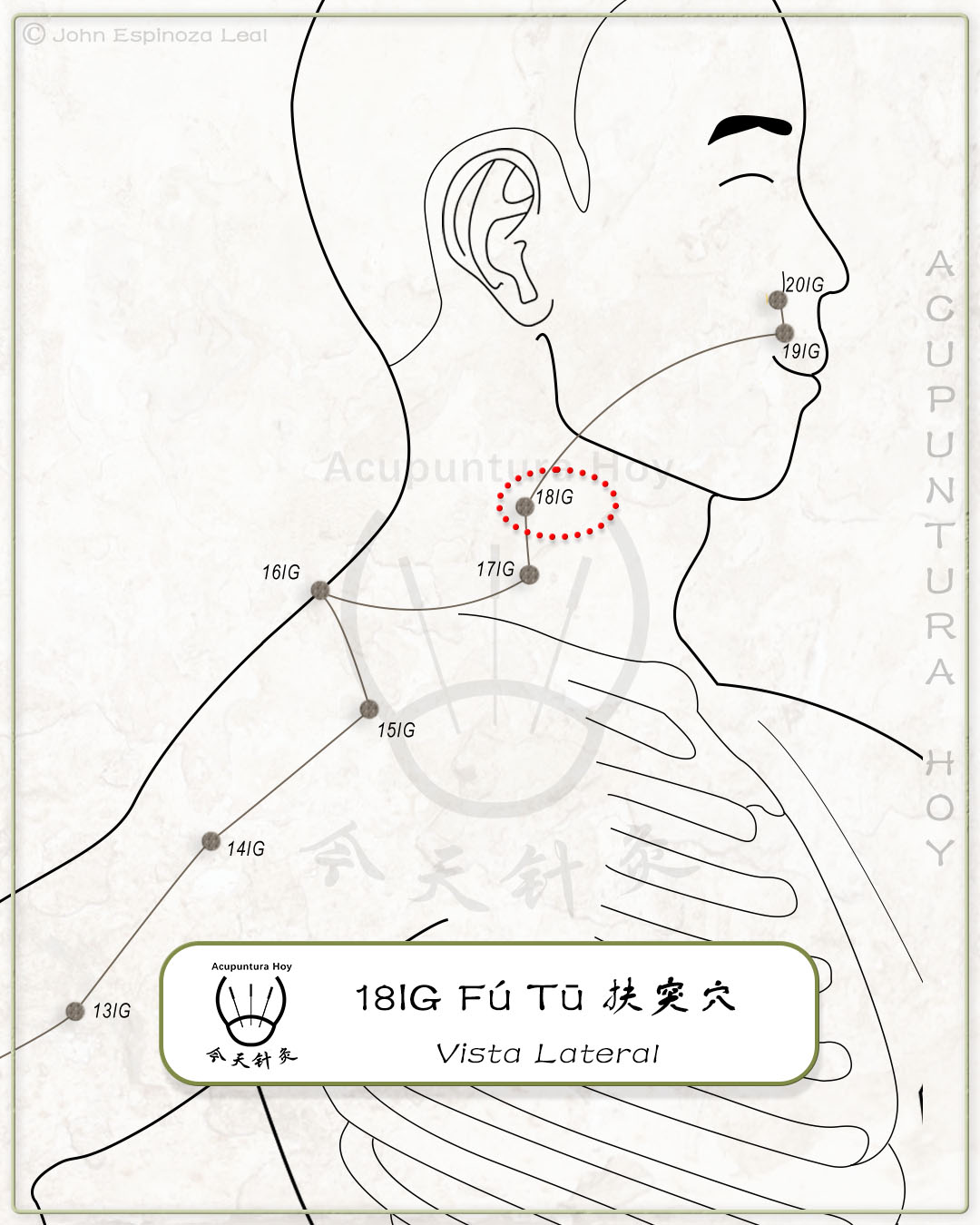 18IG Fú Tū 扶突穴