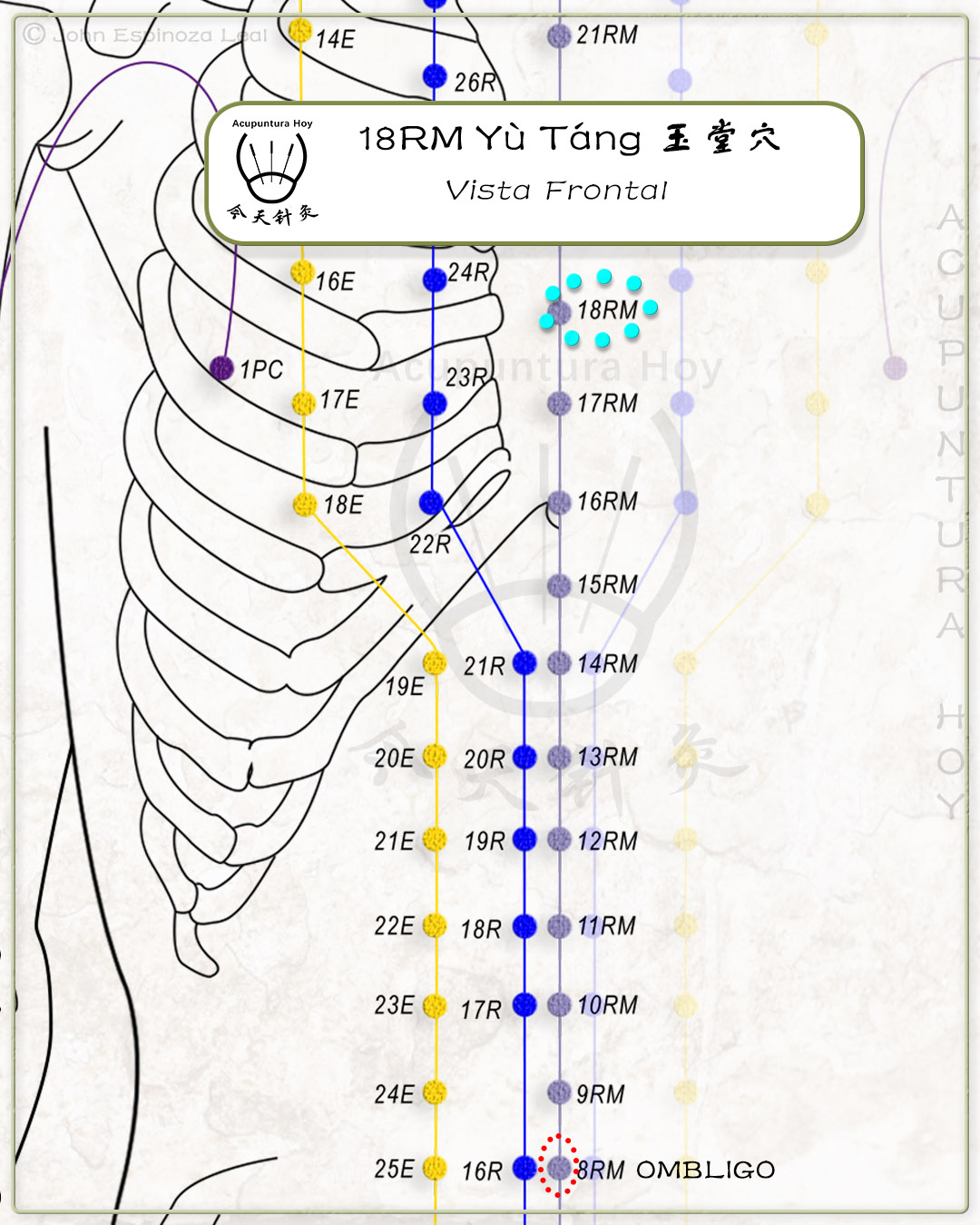 18RM Yù Táng 玉堂穴