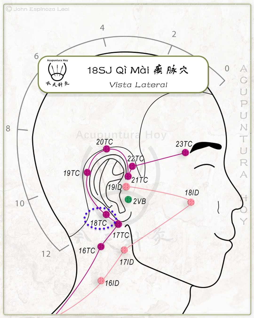 18SJ Qì Mài 瘈脉穴
