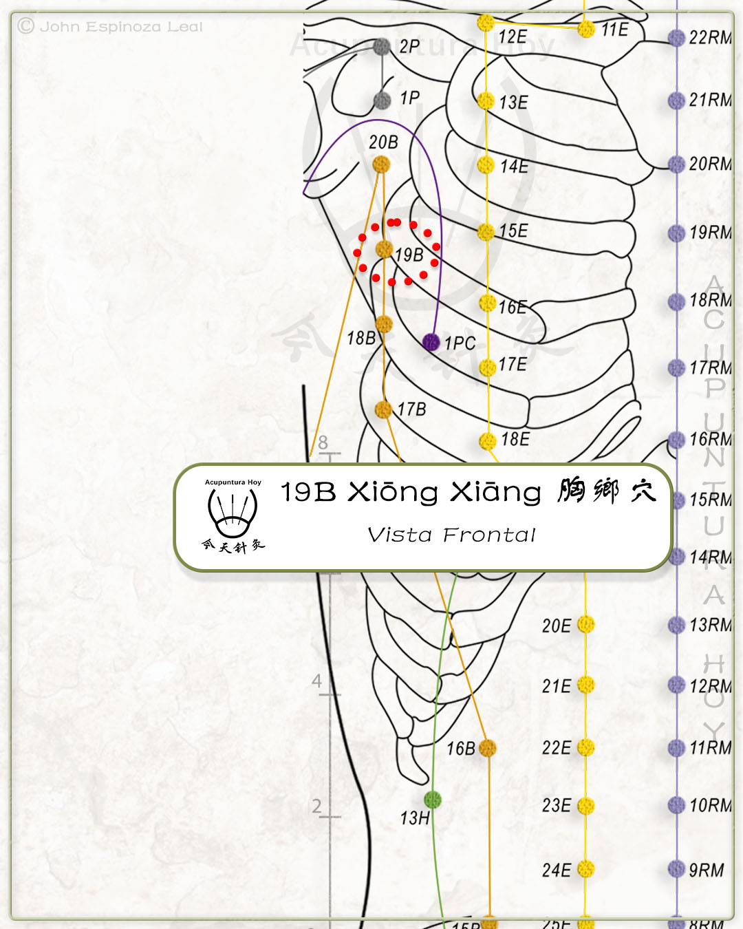 19B Xiōng Xiāng 胸鄉穴