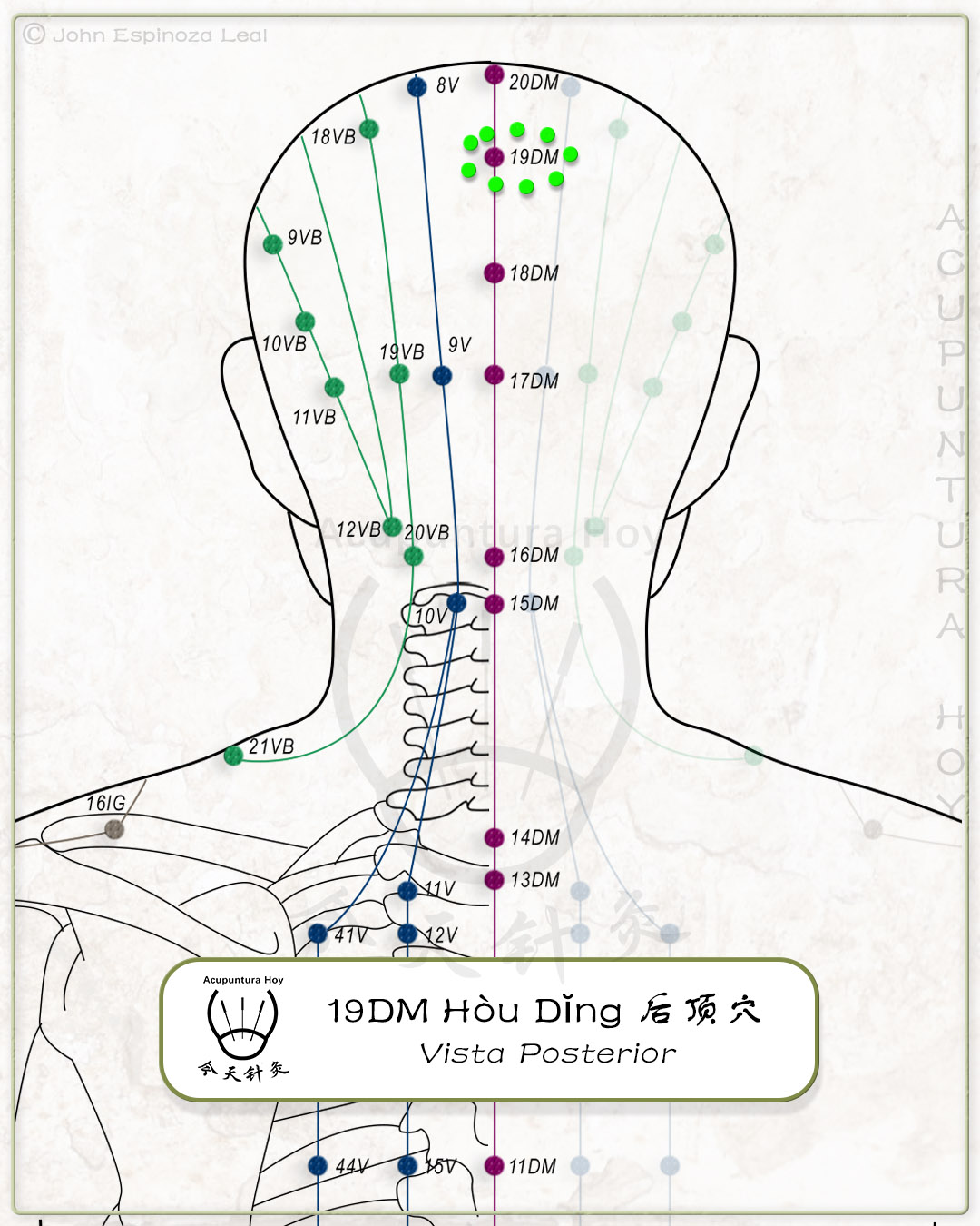 19DM Hòu Dĭng 后顶穴