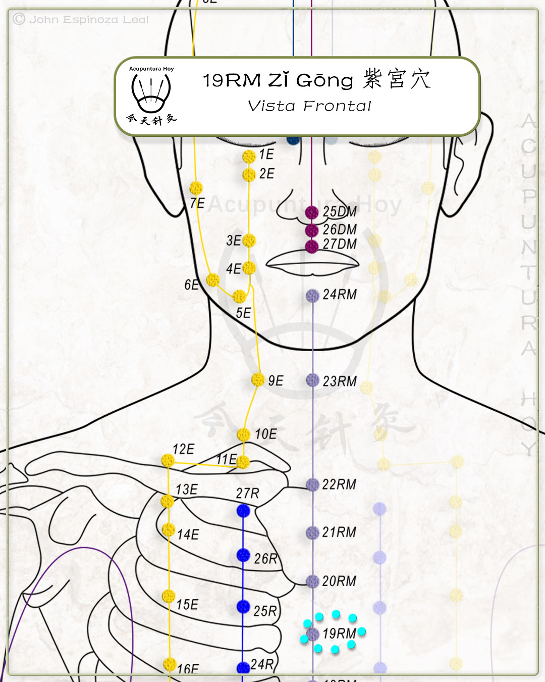 19RM Zĭ Gōng 紫宮穴
