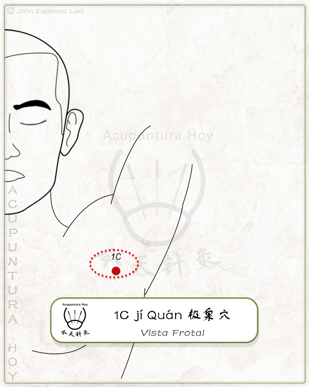 1C jí Quán 极泉穴