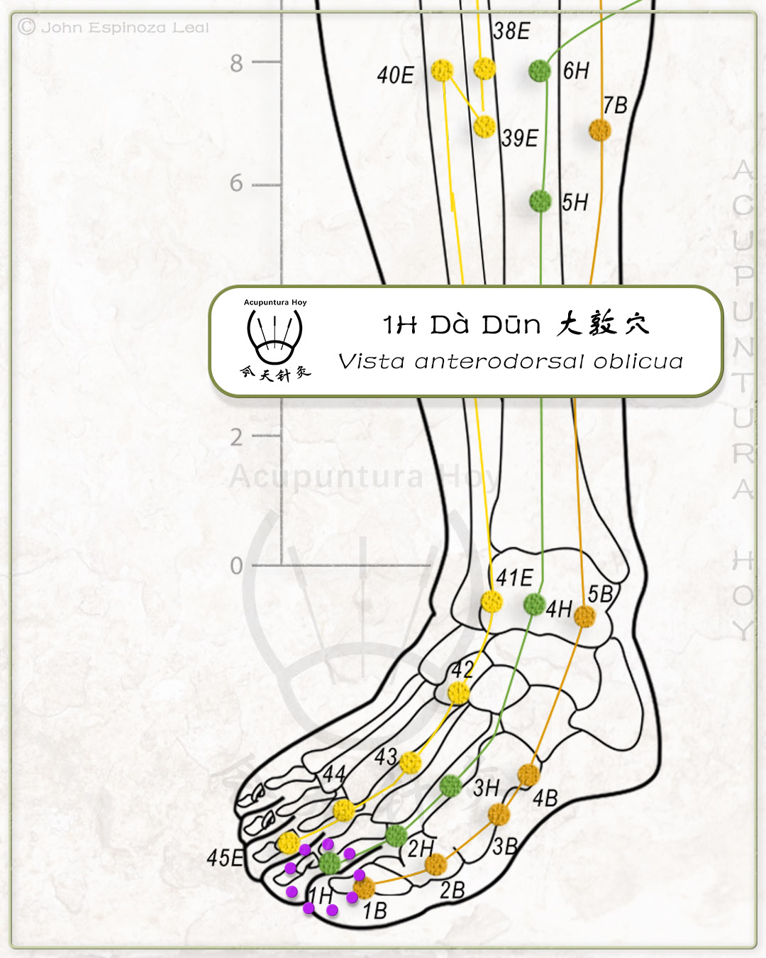 1H Dà Dūn 大敦穴
