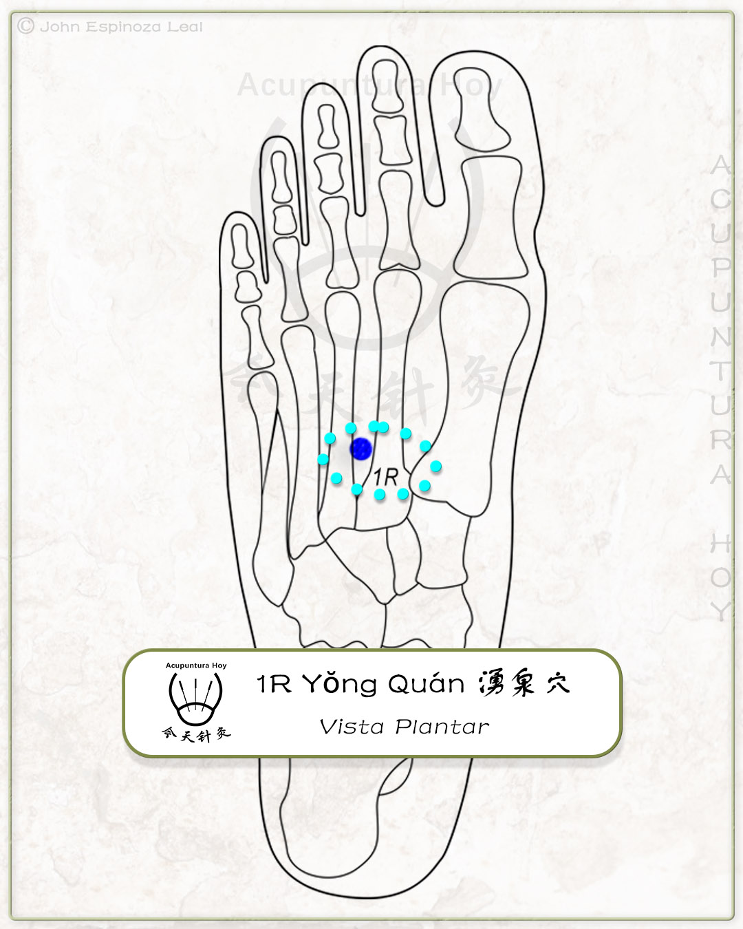 1R Yŏng Quán 湧泉穴