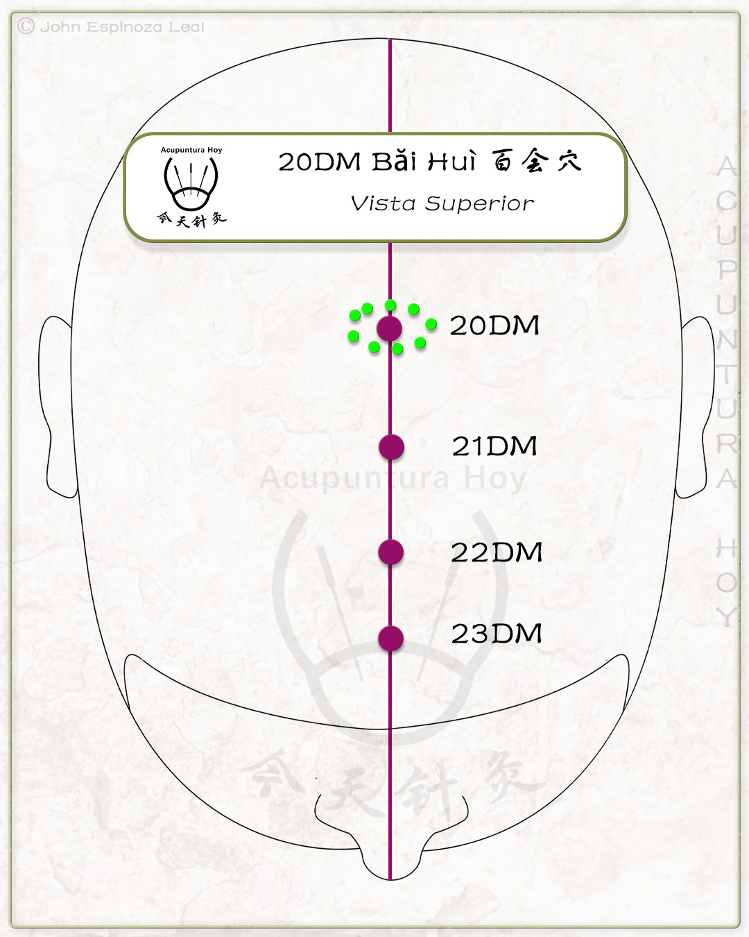 20DM Băi Huì 百会穴