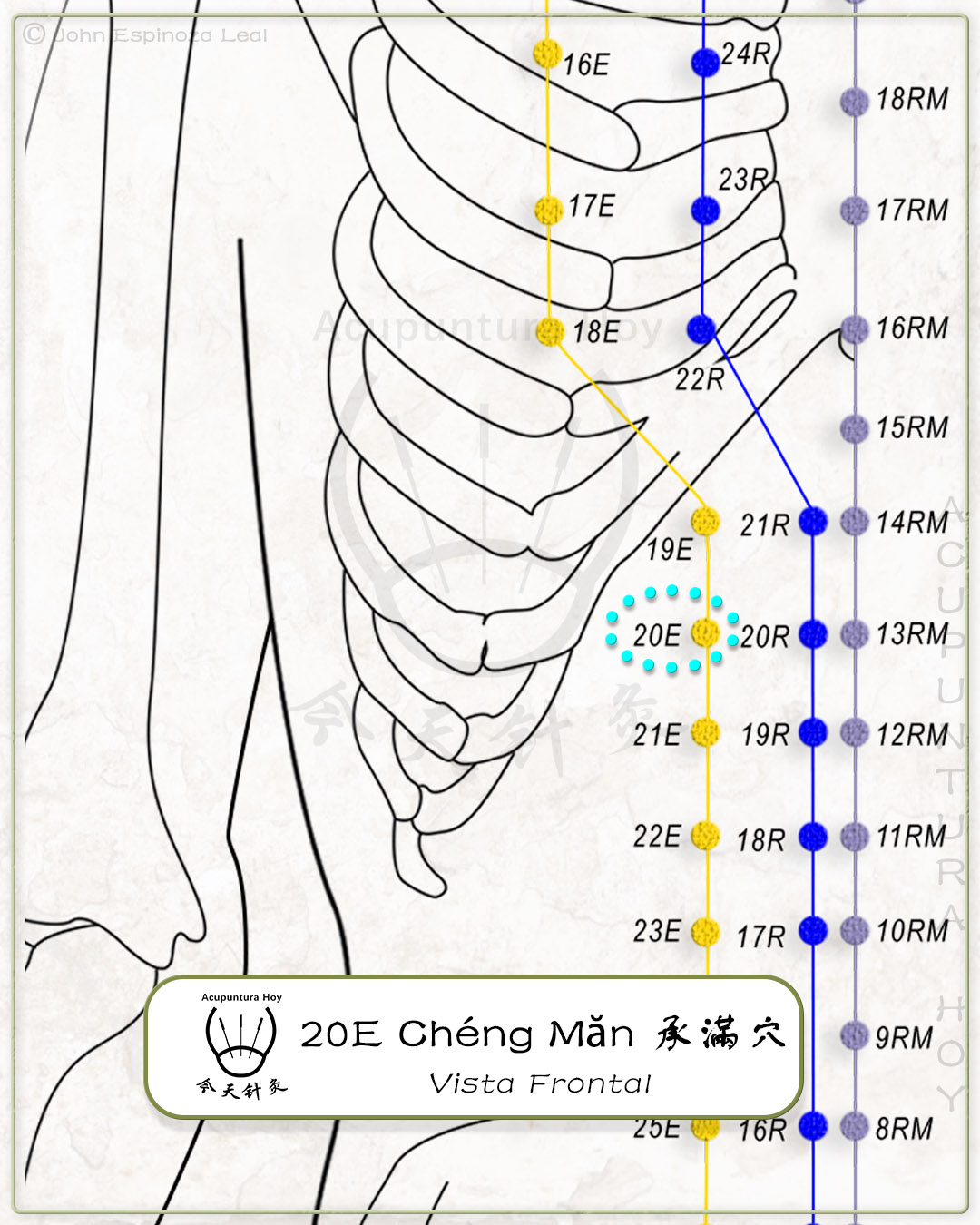 20E Chéng Măn 承滿穴