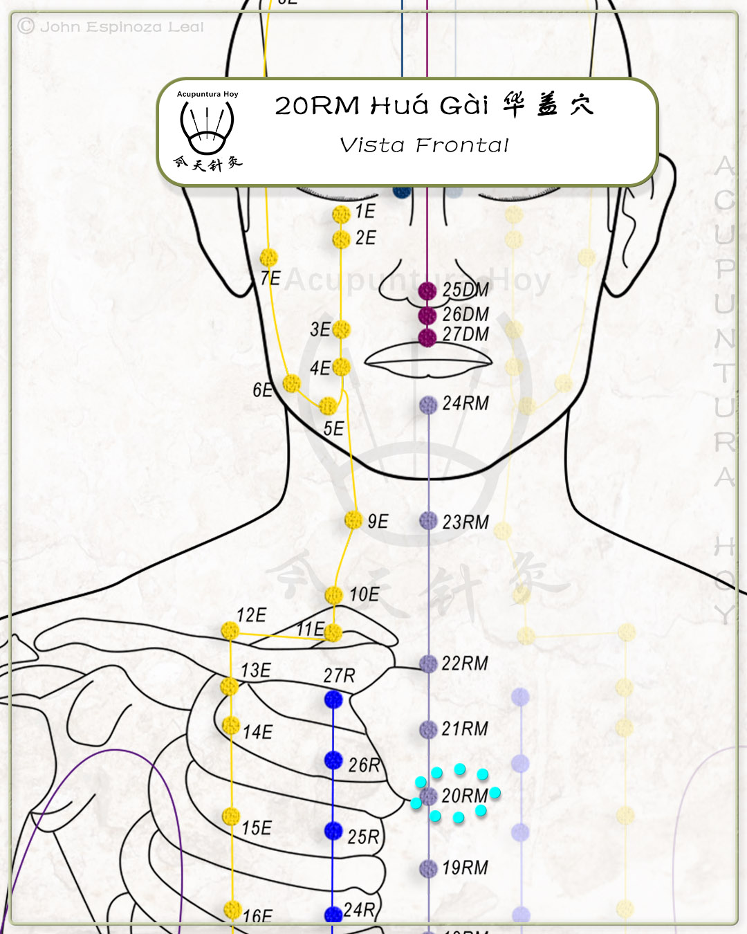 20RM Huá Gài 华盖穴