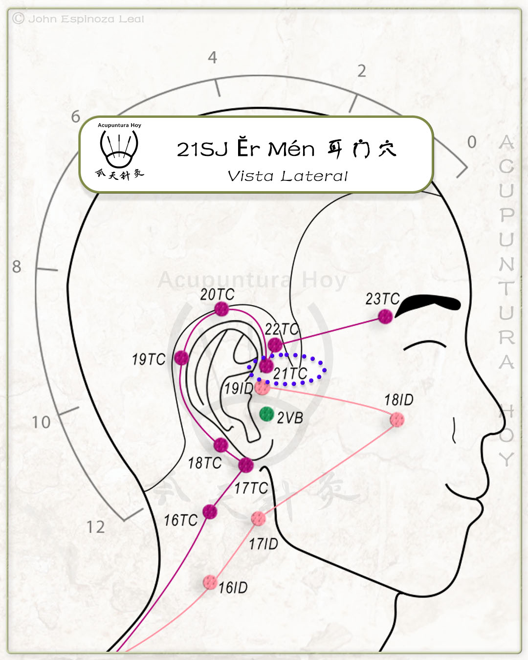 21SJ Ĕr Mén 耳门穴
