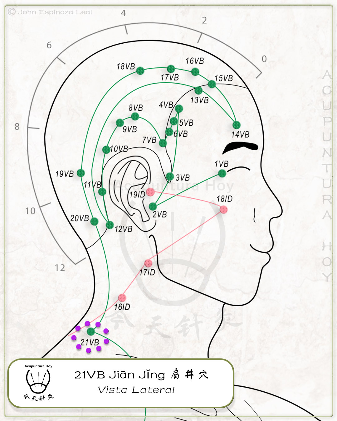 21VB Jiān Jĭng 肩井穴