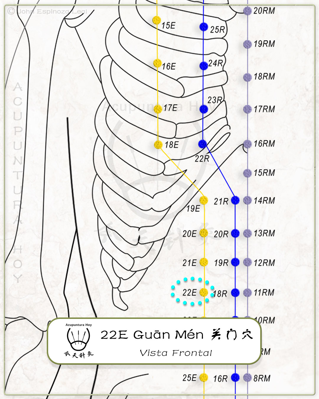 22E Guān Mén 关门穴
