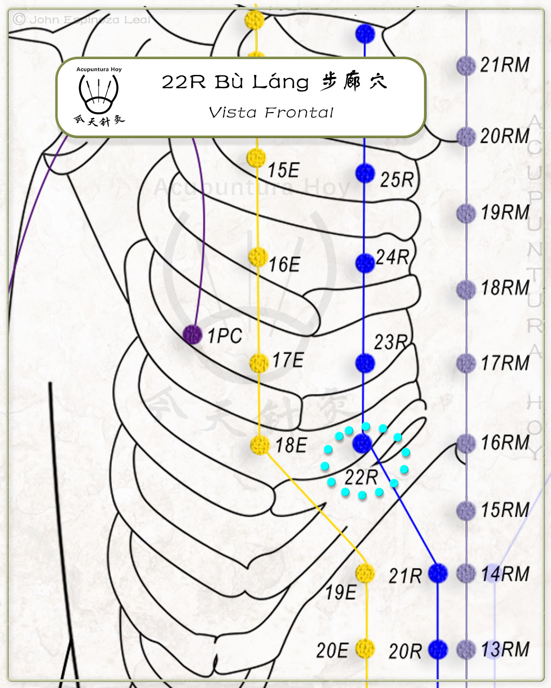 22R Bù Láng 步廊穴