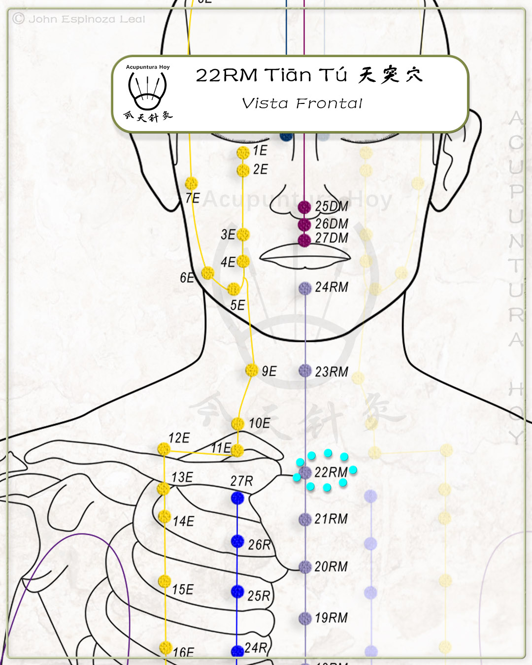 22RM Tiān Tū 天突穴