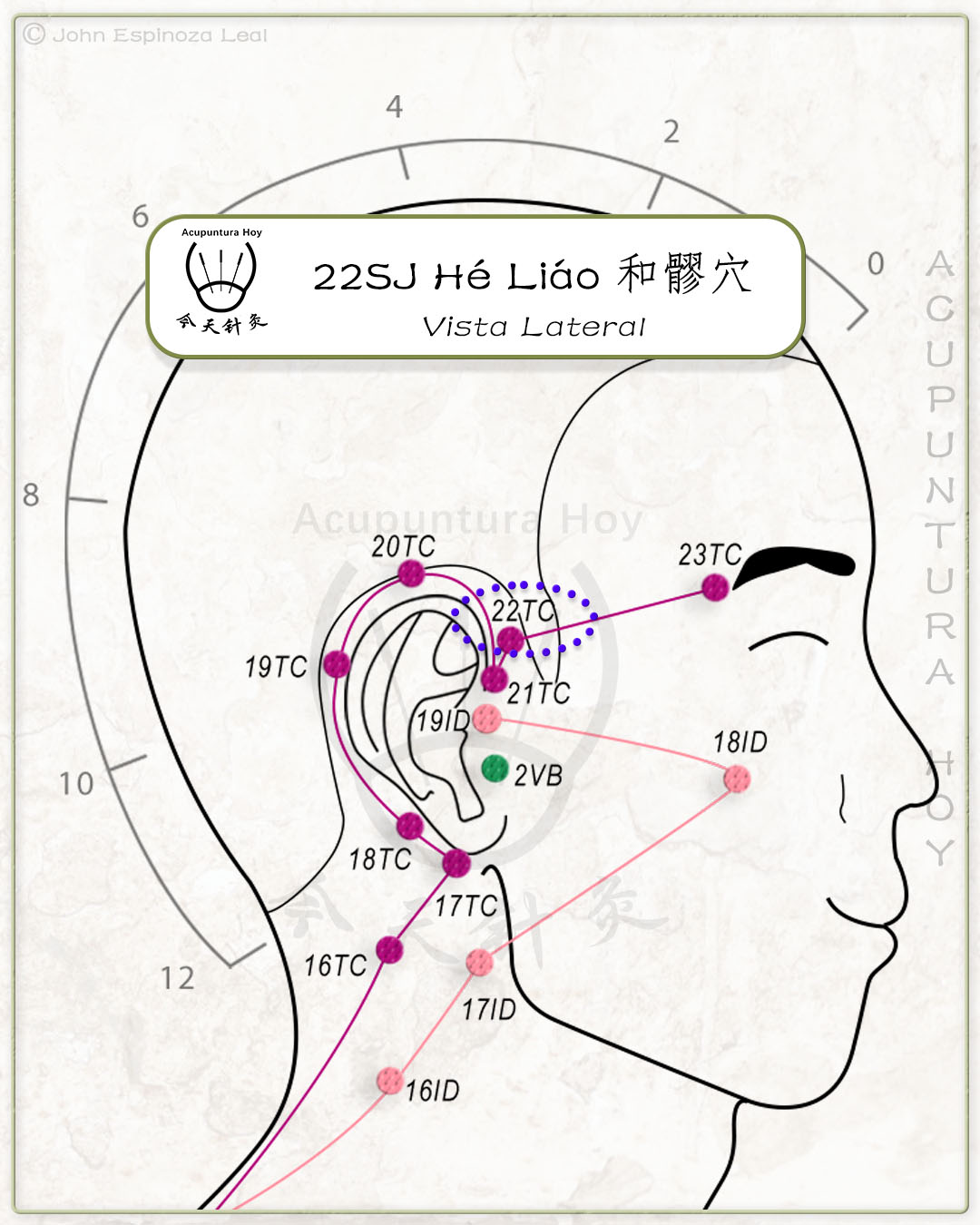 22SJ Hé Liáo 和髎穴