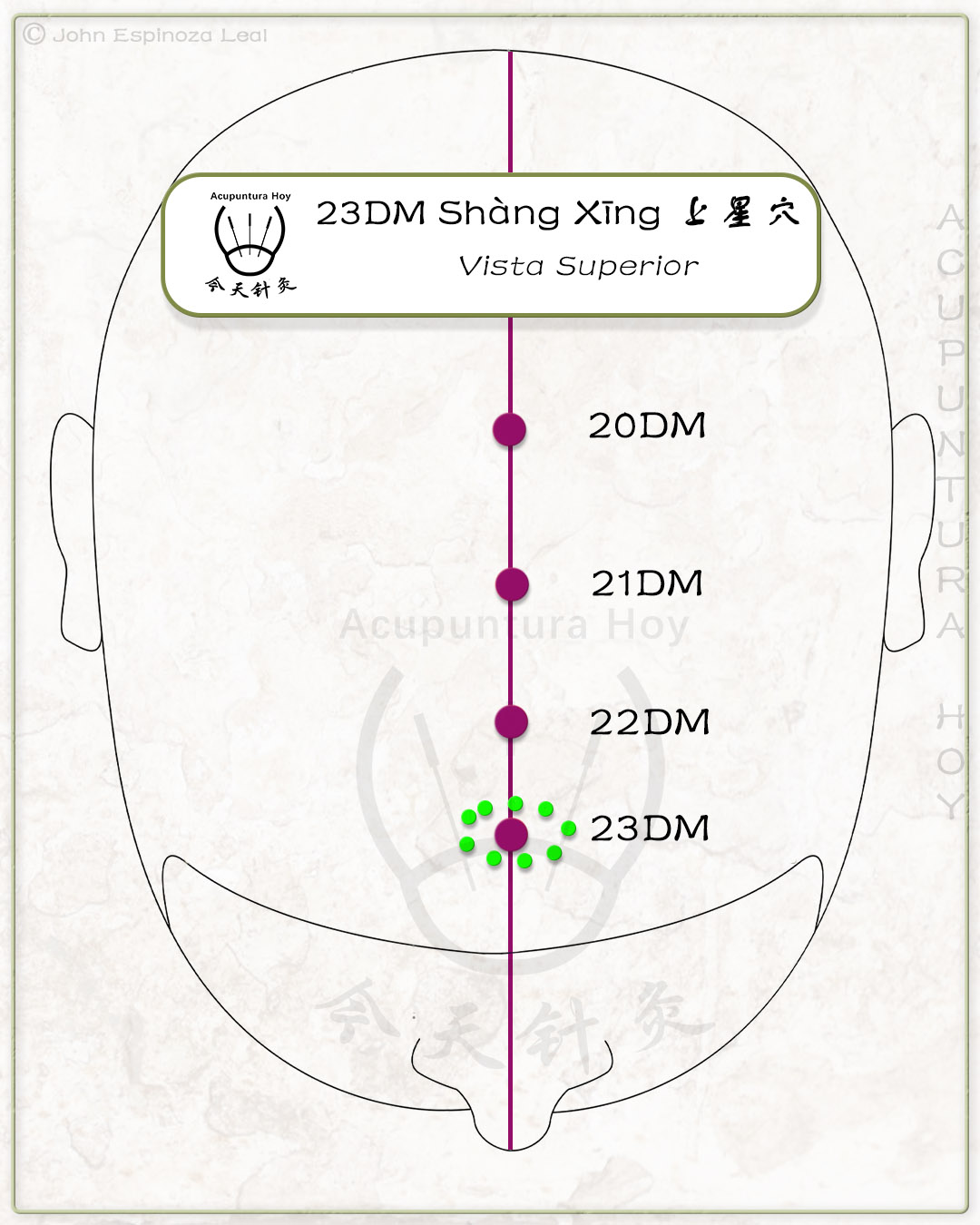 23DM Shàng Xīng 上星穴