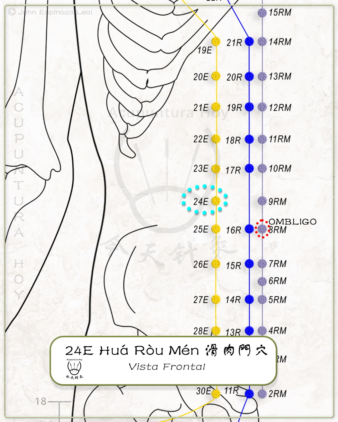24E Huá Ròu Mén 滑肉門穴