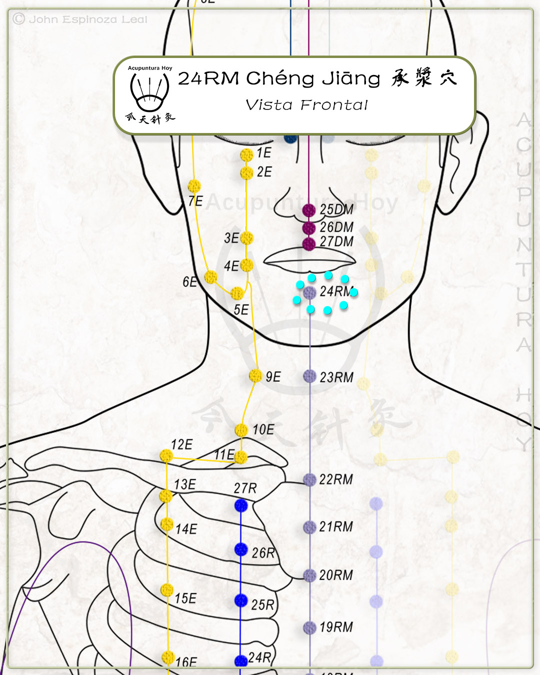 24RM Chéng Jiāng 承漿穴
