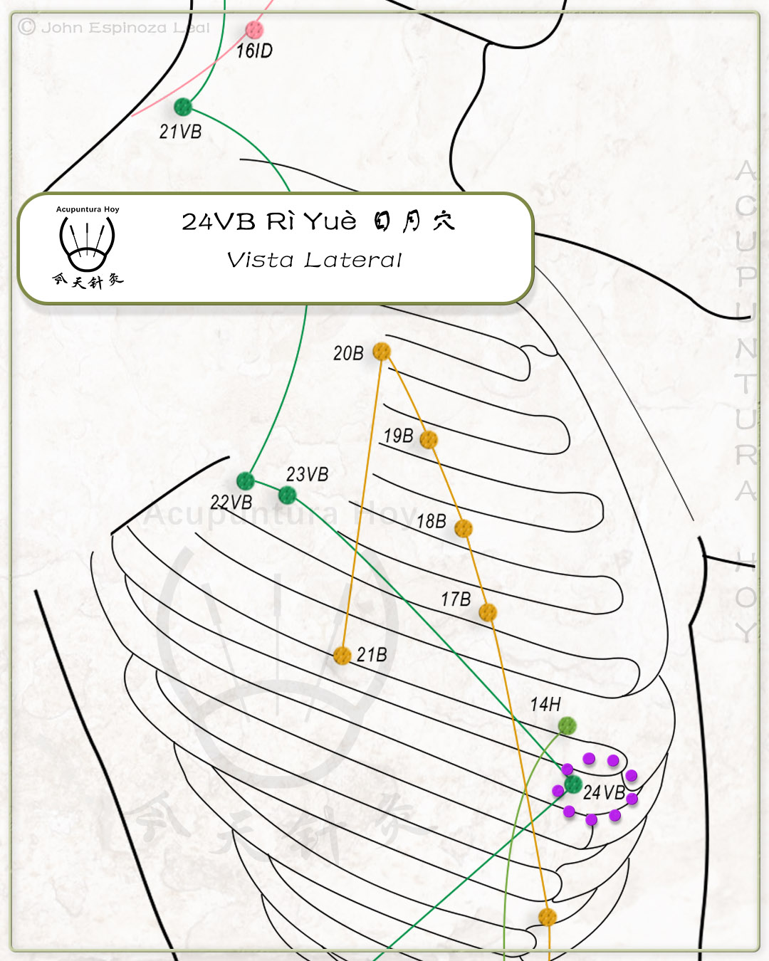 24VB Rì Yuè 日月穴