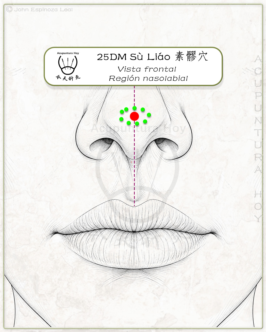 25DM Sù Liáo 素髎穴