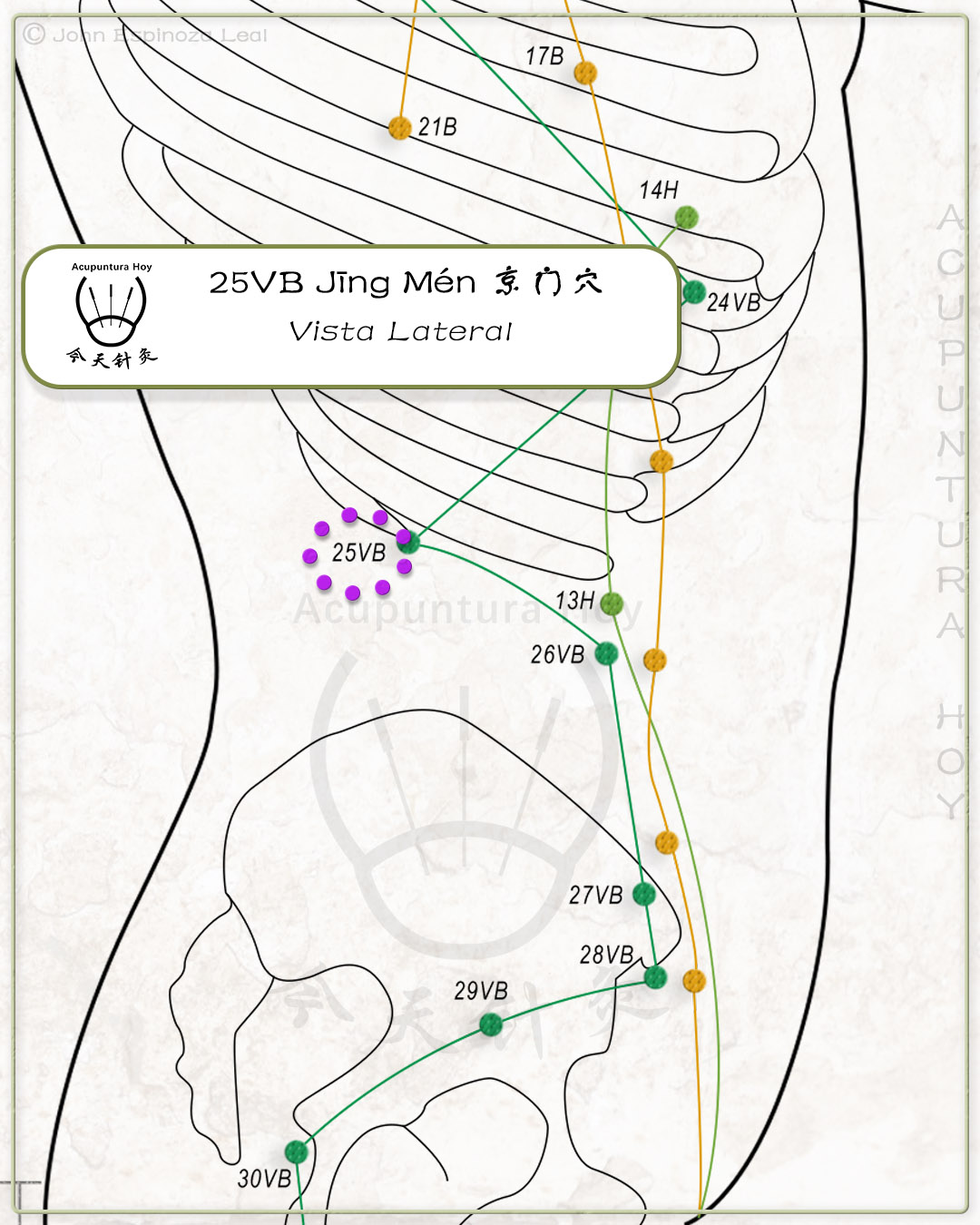 25VB Jīng Mén 京门穴