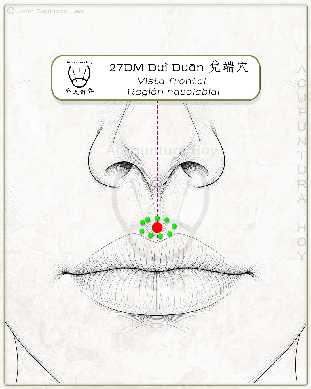 27DM Duì Duān 兑端穴