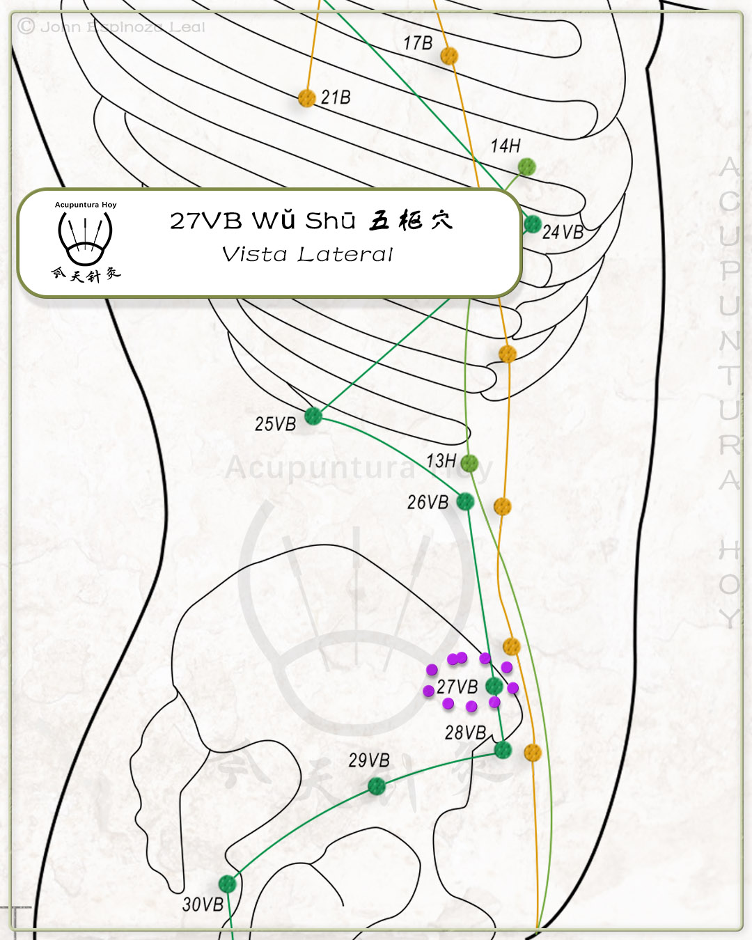 27VB Wŭ Shū 五枢穴