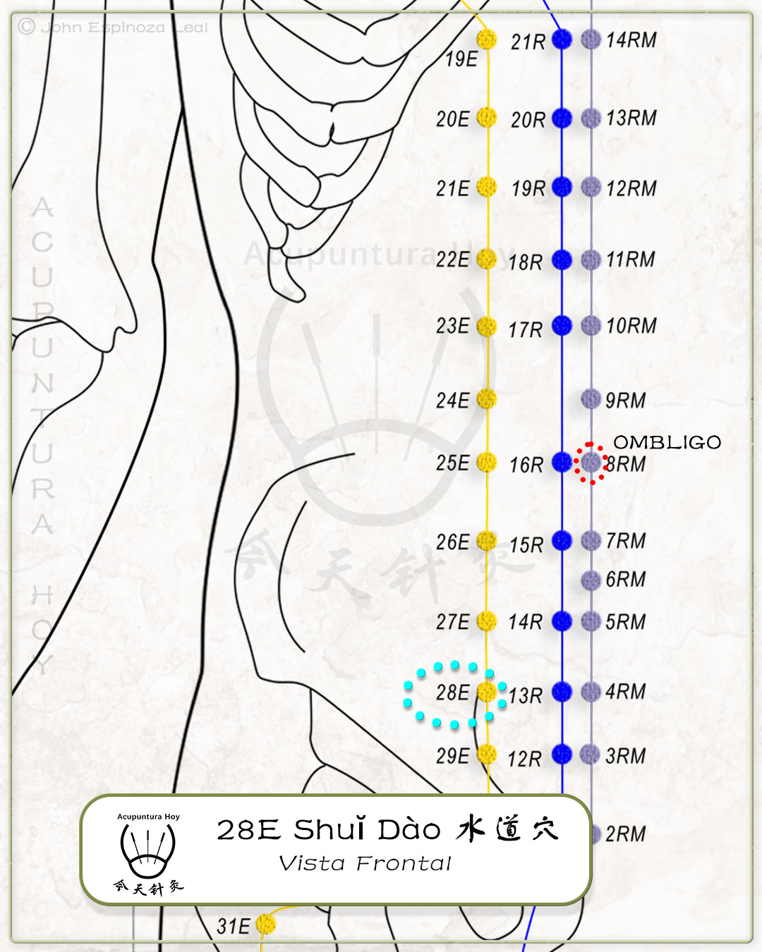 28E Shuĭ Dào 水道穴