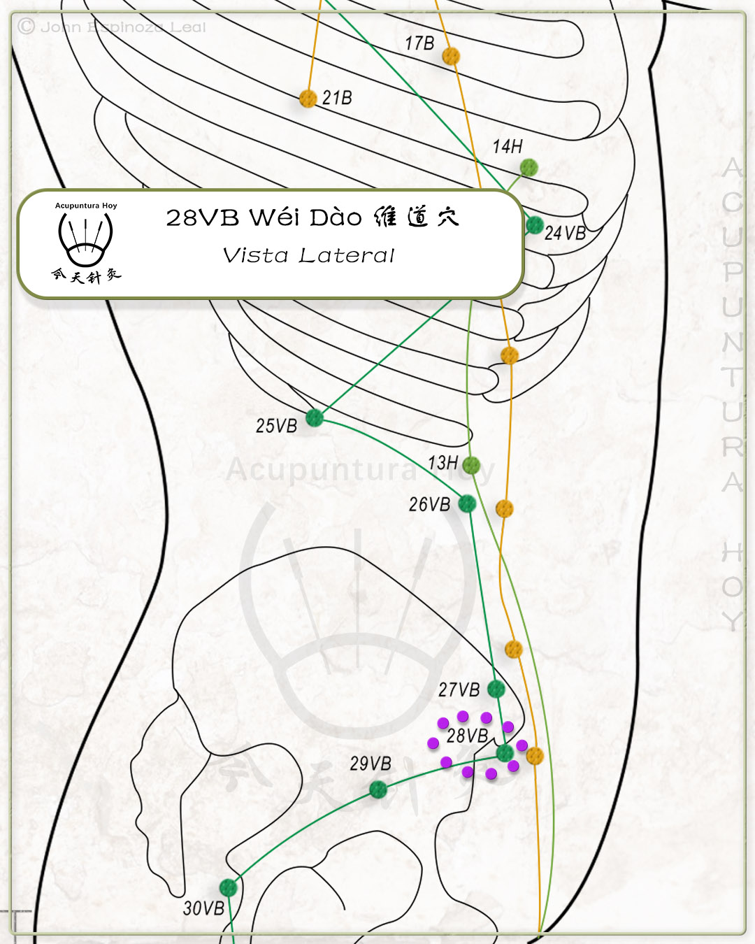 28VB Wéi Dào 维道穴