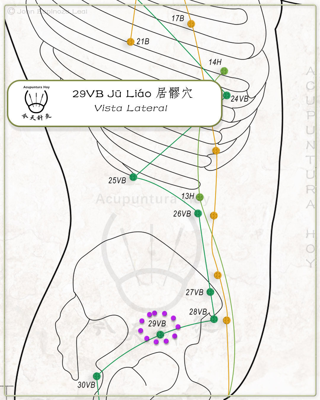 29VB Jū Liáo 居髎穴