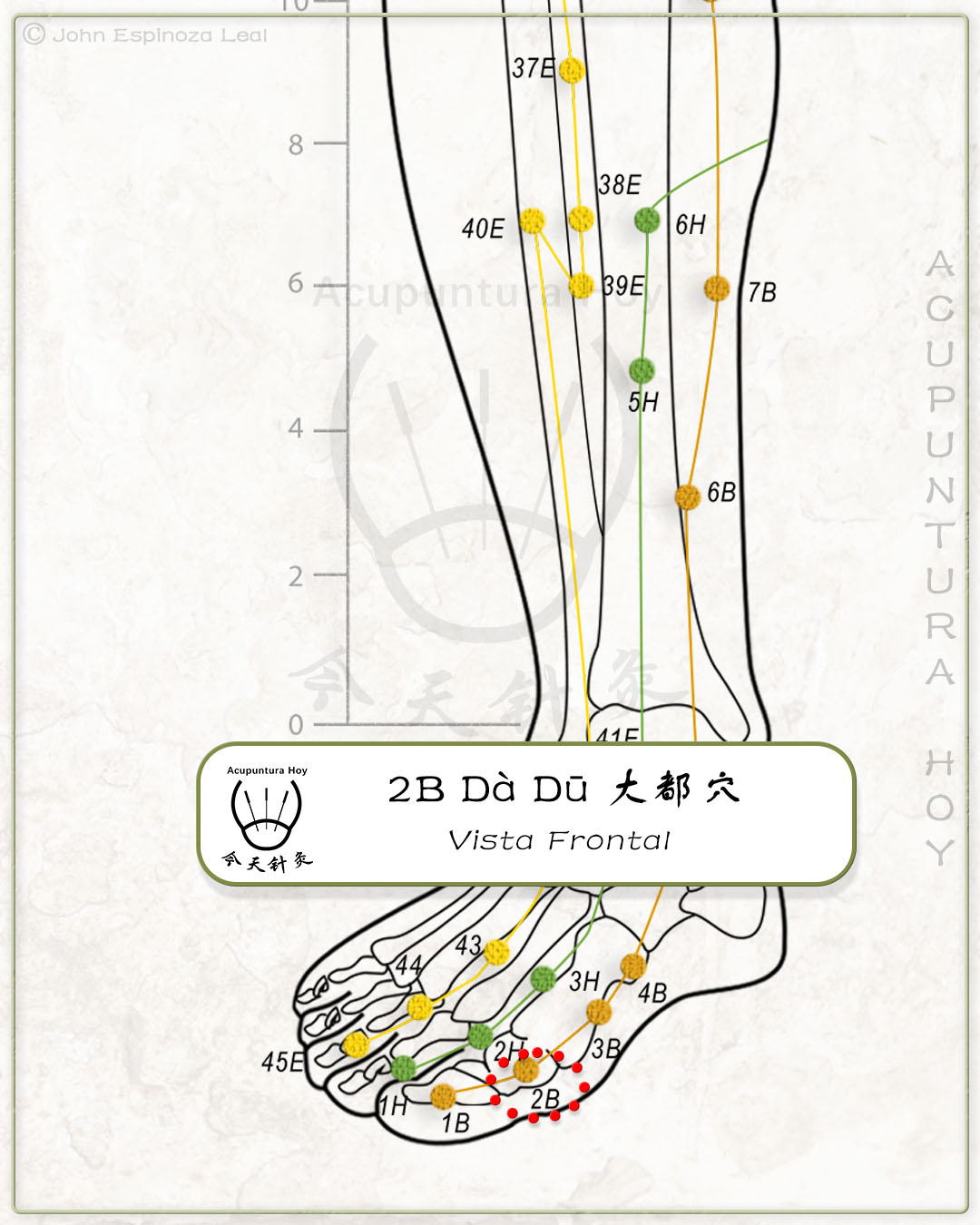 2B Dà Dū 大都穴