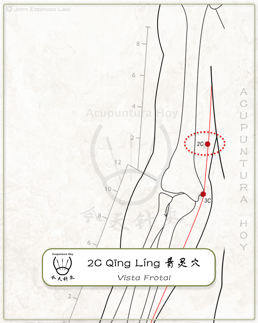 2C Qīng Líng 青灵穴