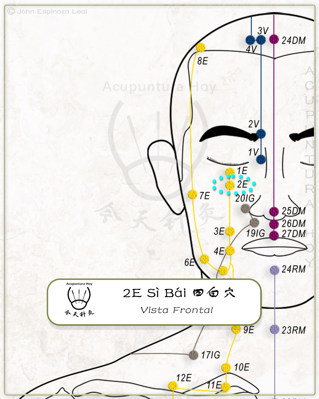2E Sì Bái 四白穴