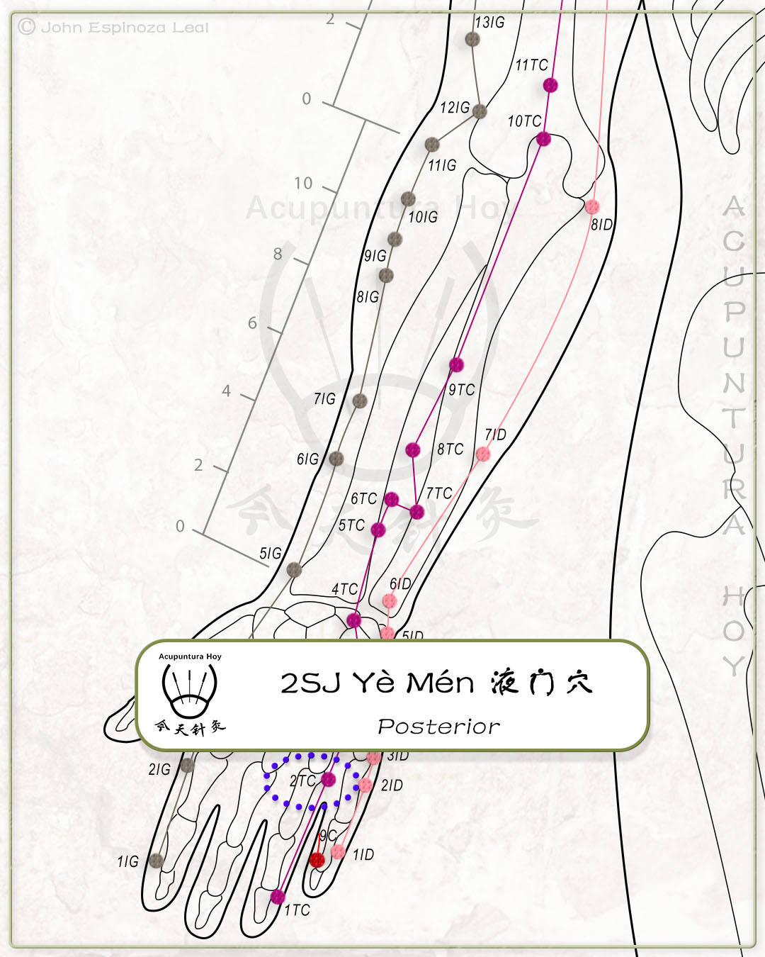2SJ Yè Mén 液门穴