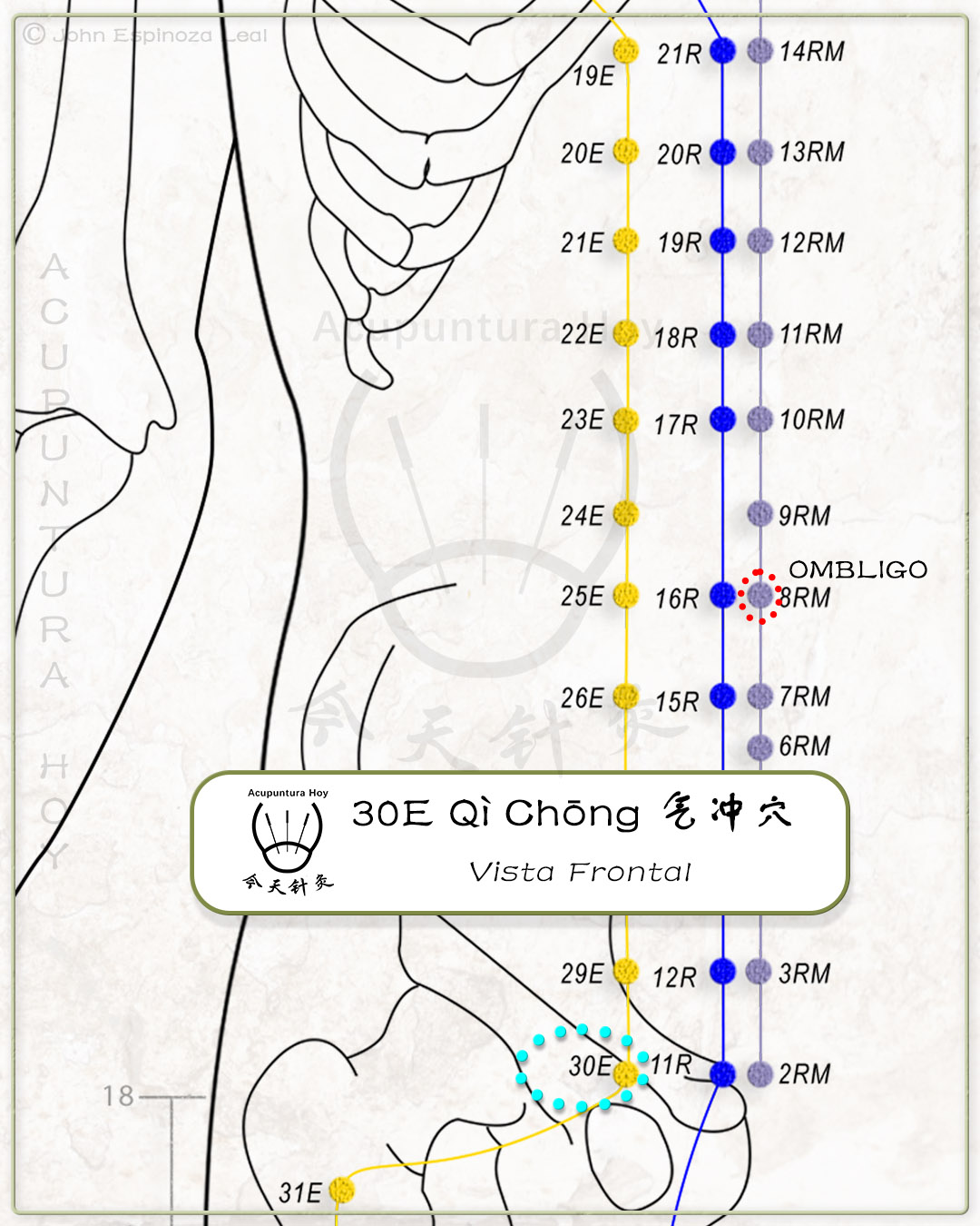 30E Qì Chōng 气冲穴