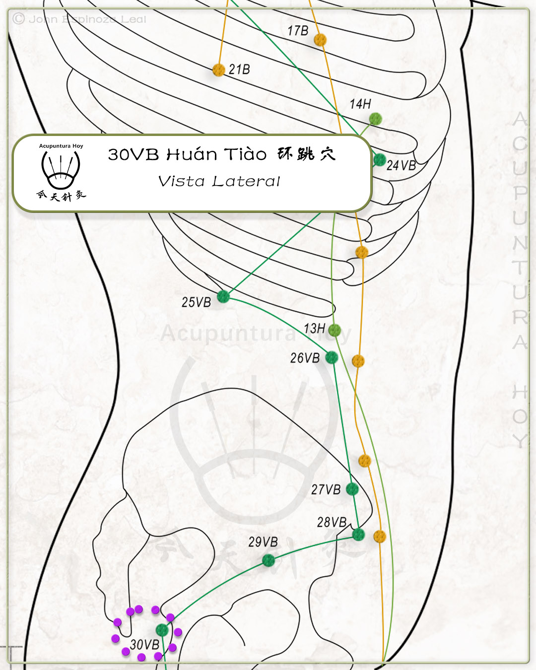 30VB Huán Tiào 环跳穴
