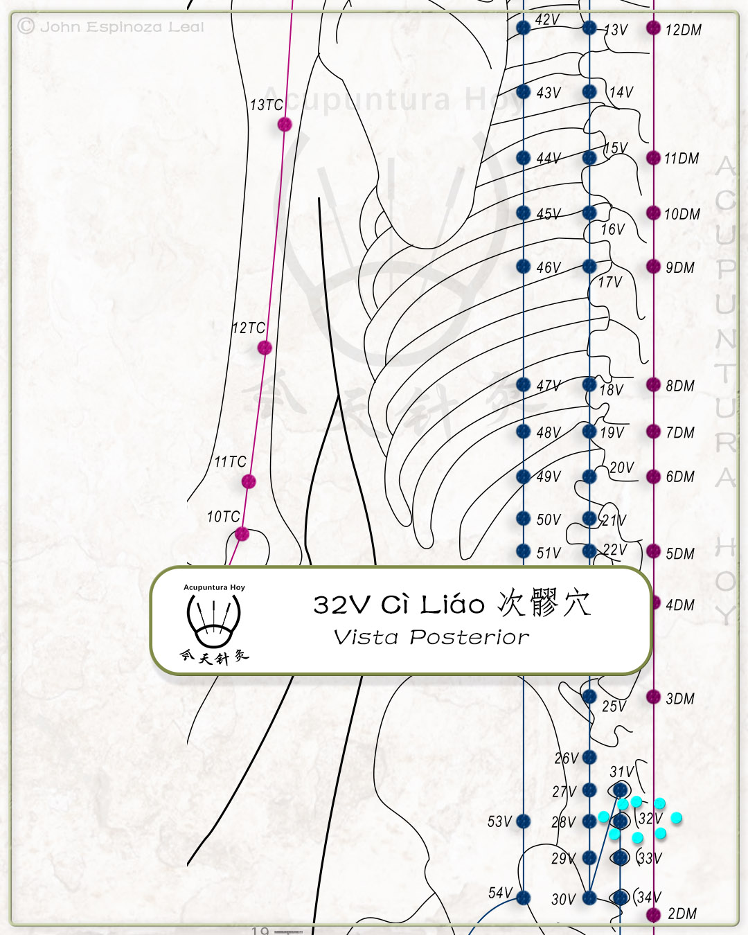 32V Cì Liáo 次髎穴