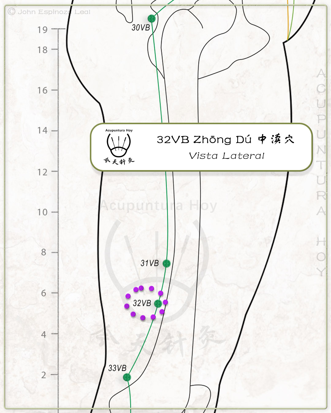 32VB Zhōng Dú 中渎穴