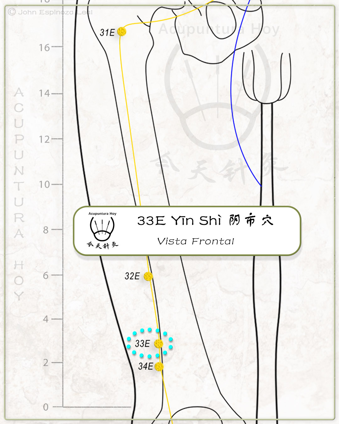 33E Yīn Shì 阴市穴