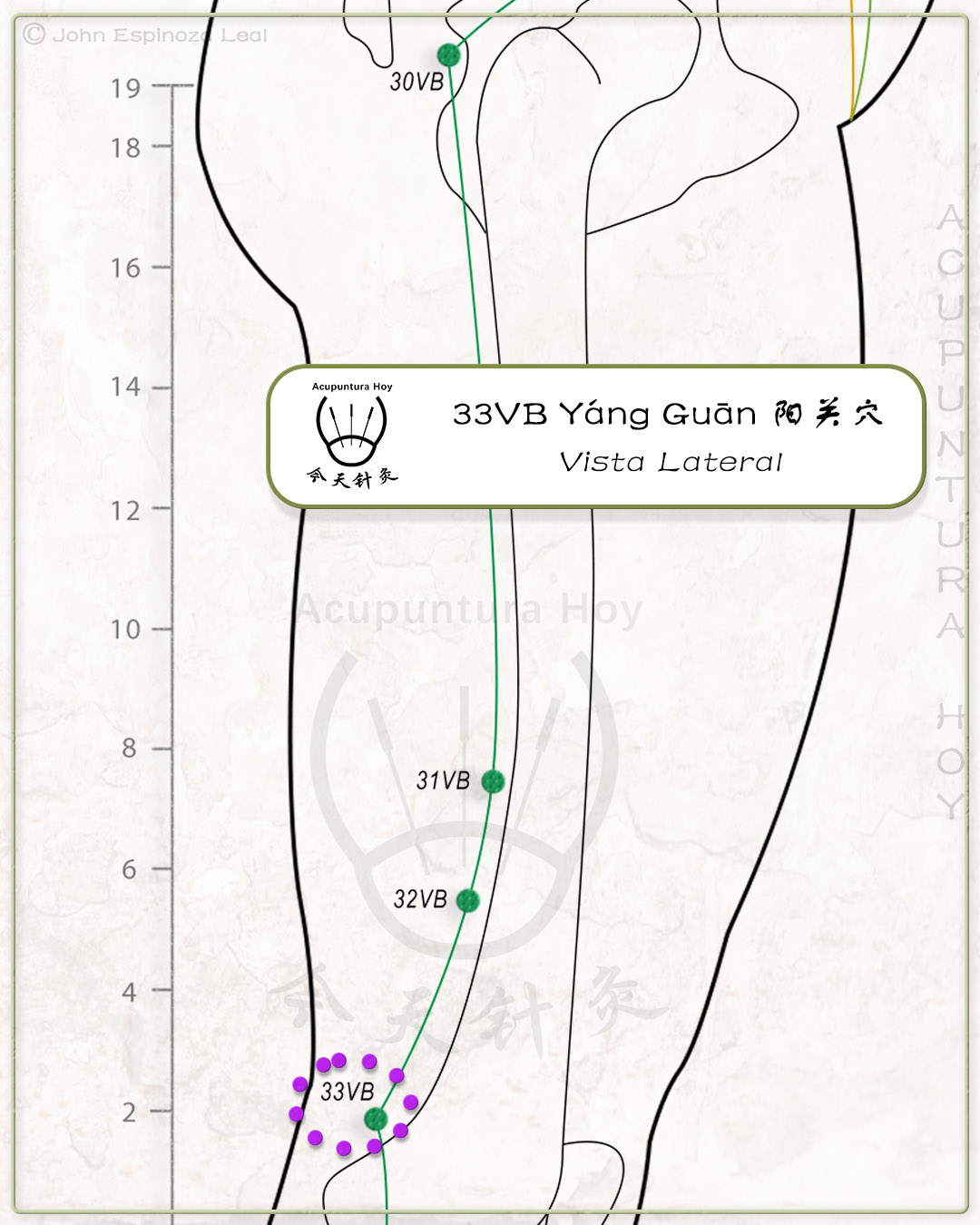 33VB Yáng Guān 阳关穴