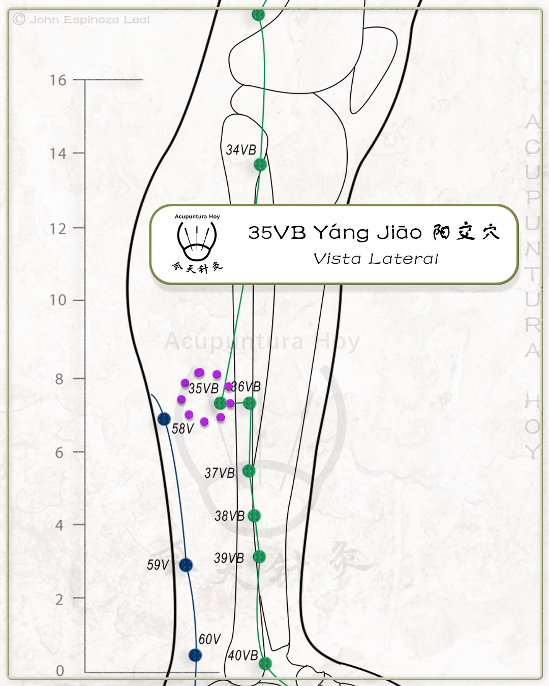 35VB Yáng Jiāo 阳交穴