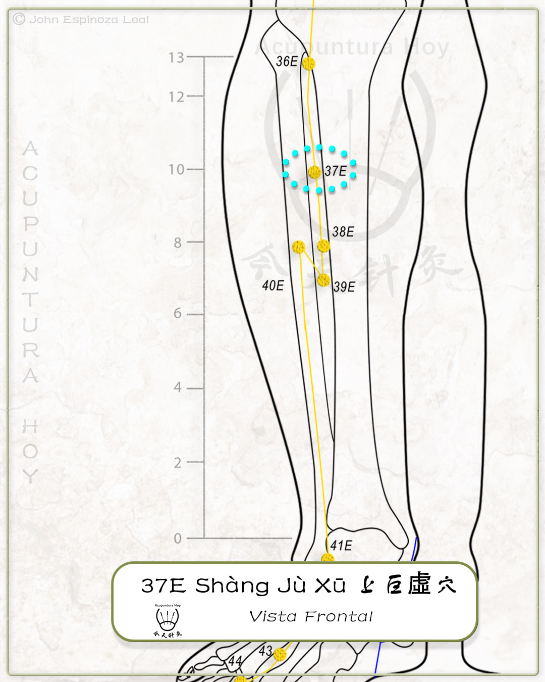 37E Shàng Jù Xū 上巨虛穴