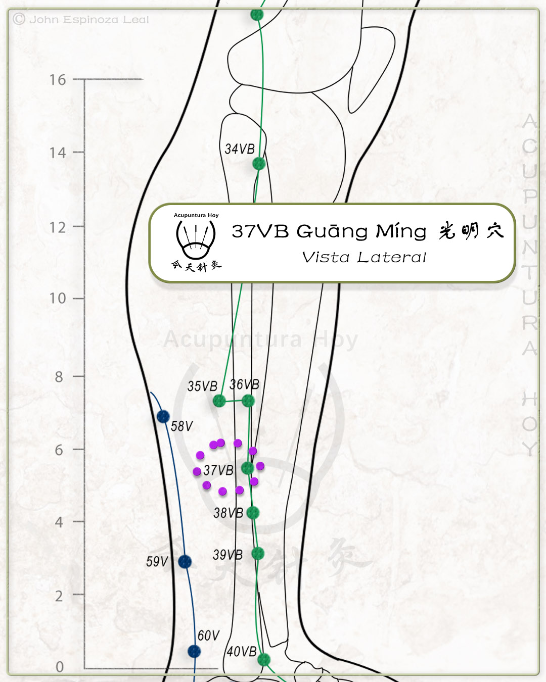 37VB Guāng Míng 光明穴