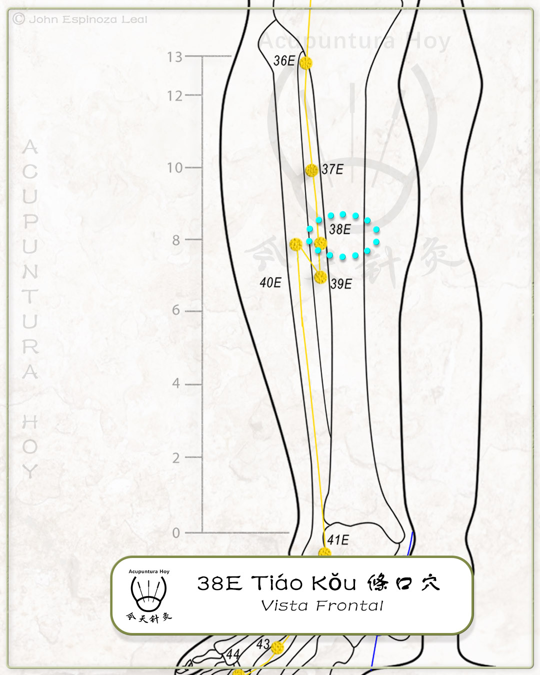 38E Tiáo Kŏu 條口穴