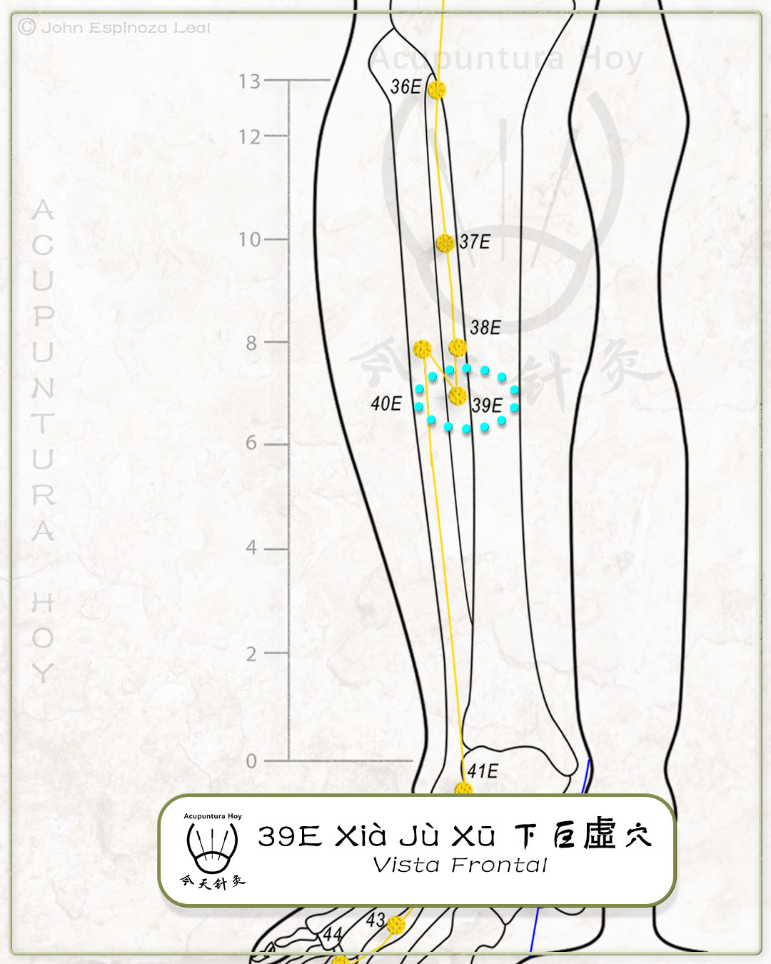 39E Xià Jù Xū 下巨虛穴
