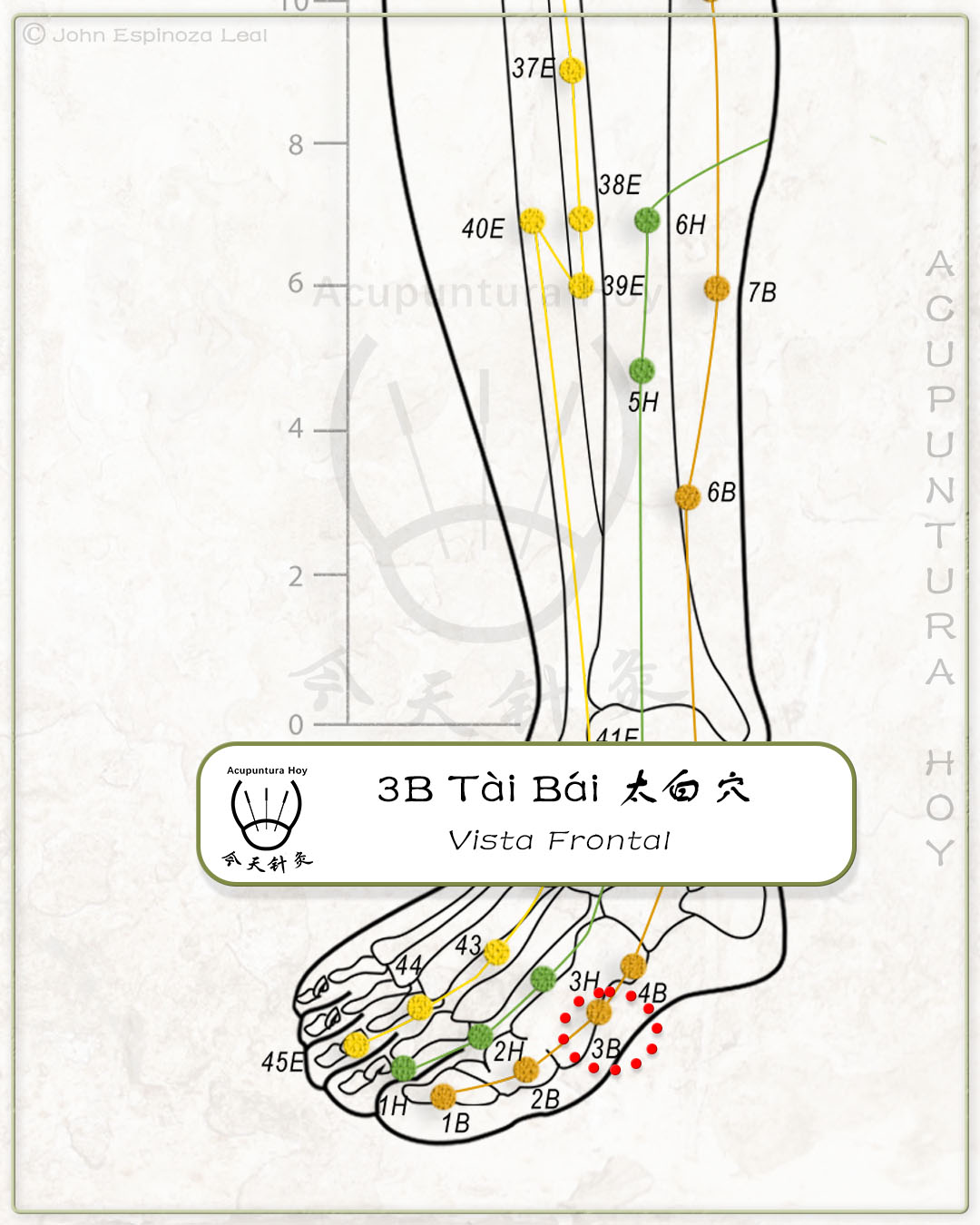 3B Tài Bái 太白穴